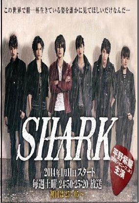 New Shark (Temporada 1) [11 Cap.]